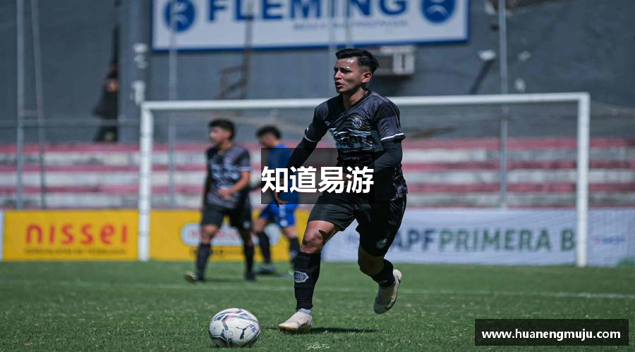 知道易游